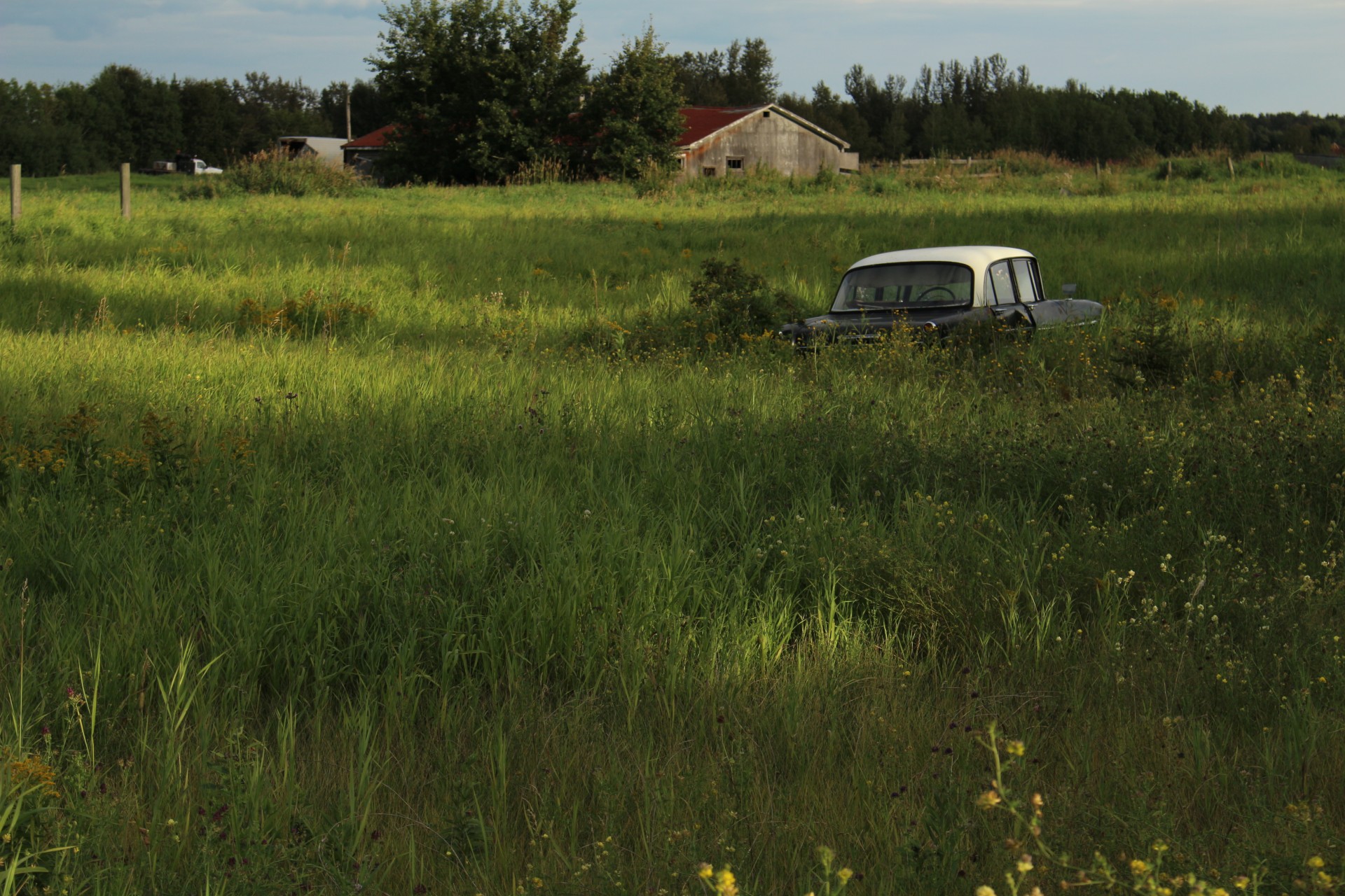 Abandonat Car Agricultorii câmp