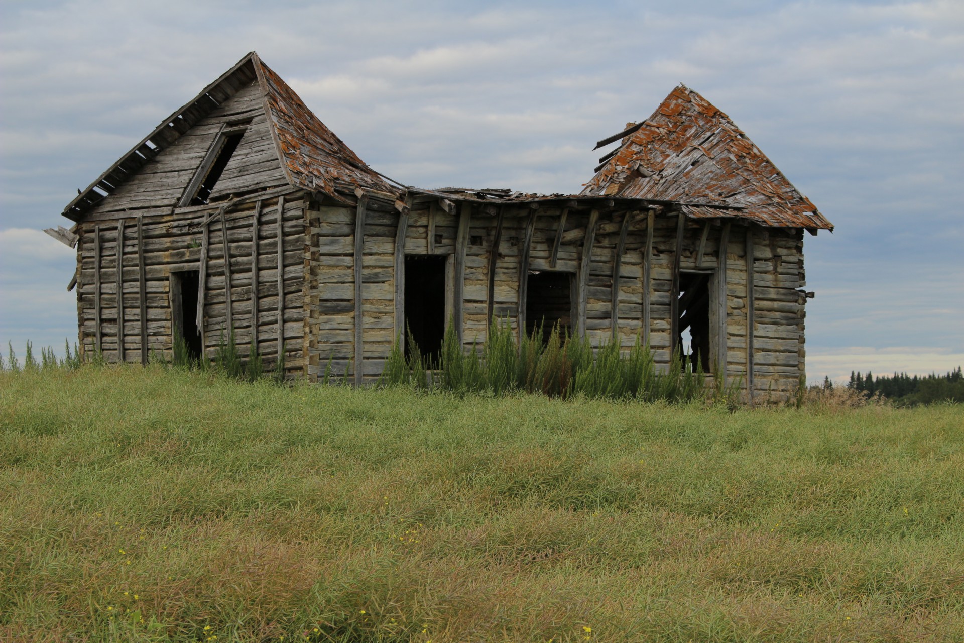 Abandonat Farm House Domeniul