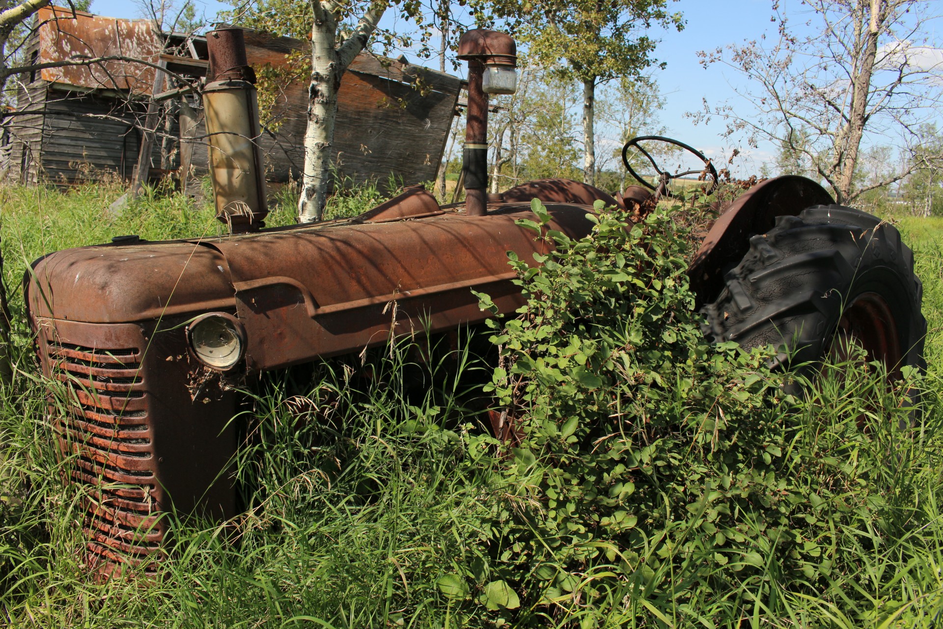 Abandonat Tractoare agricole Rust