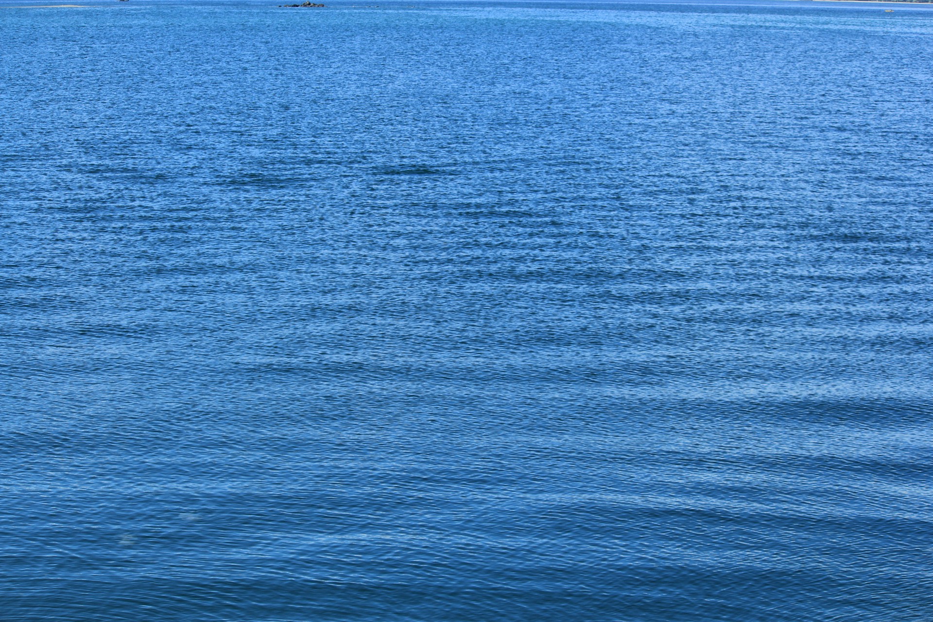 Blue Water bakgrund 2