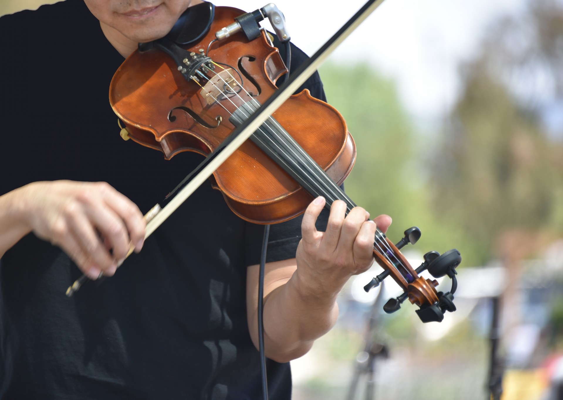 Image result for violin