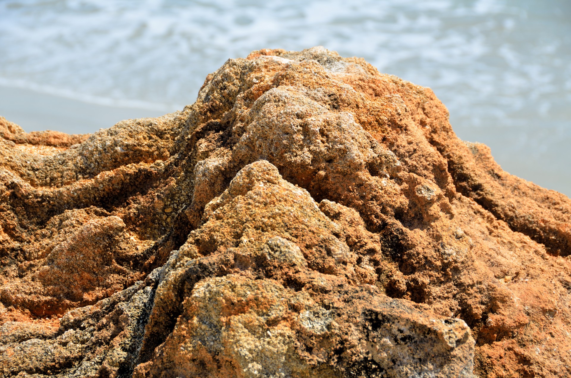 サンゴ岩 無料画像 Public Domain Pictures