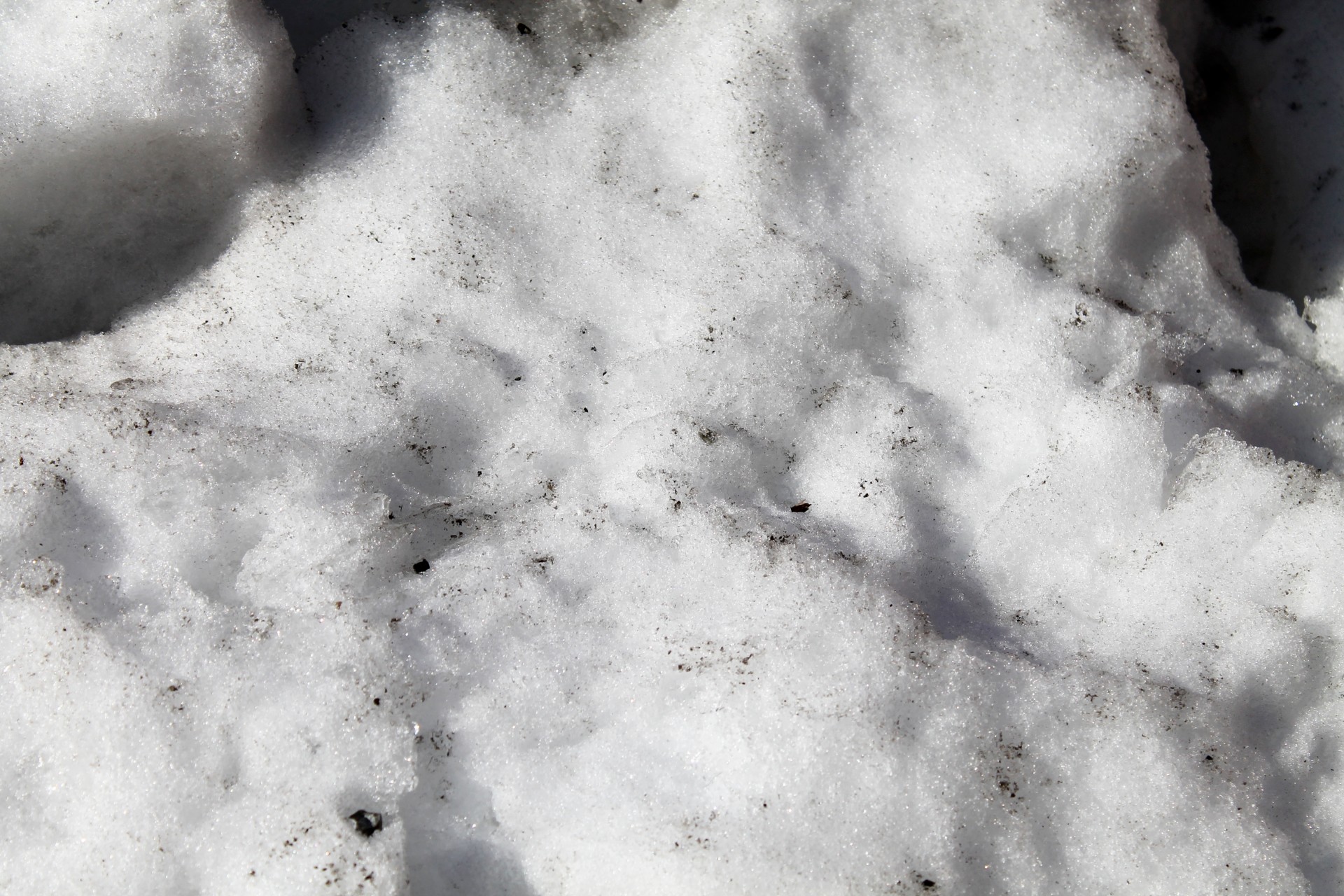 Murdar de fundal de zăpadă - 03