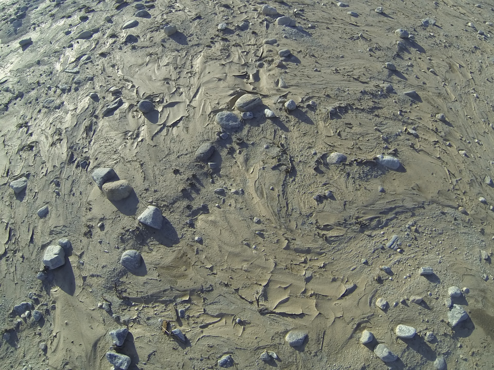 乾燥した泥の背景