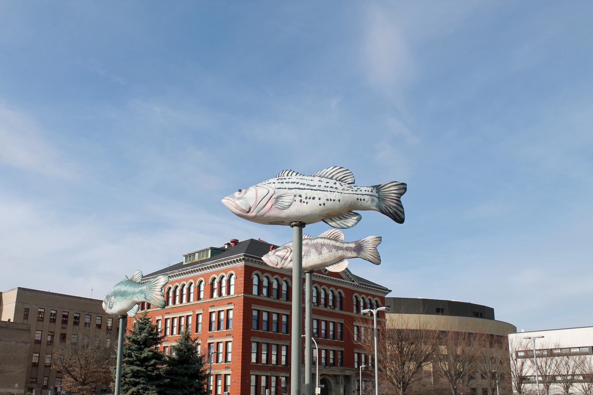 Sculptura Fish - Far