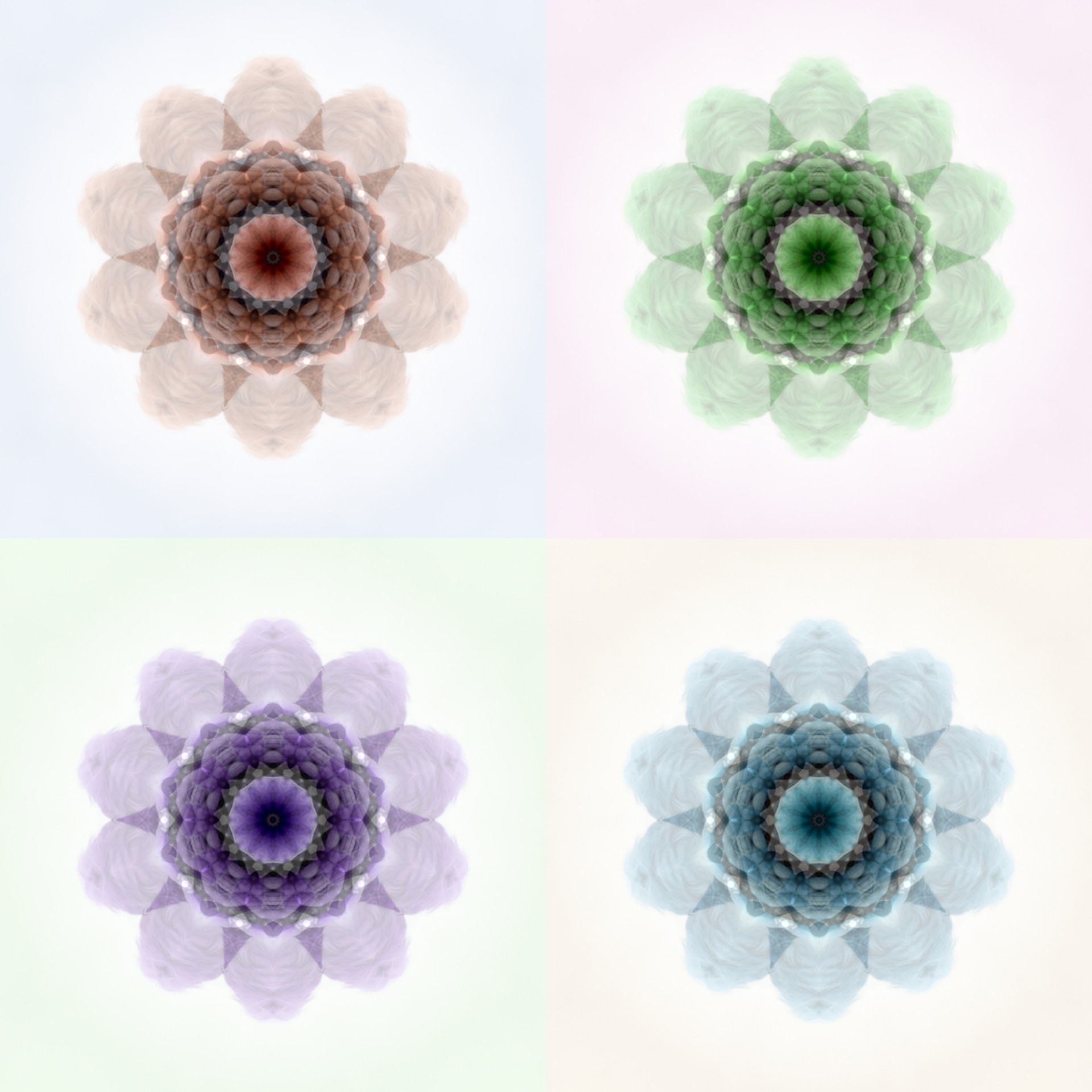 Patru flori Quilt model