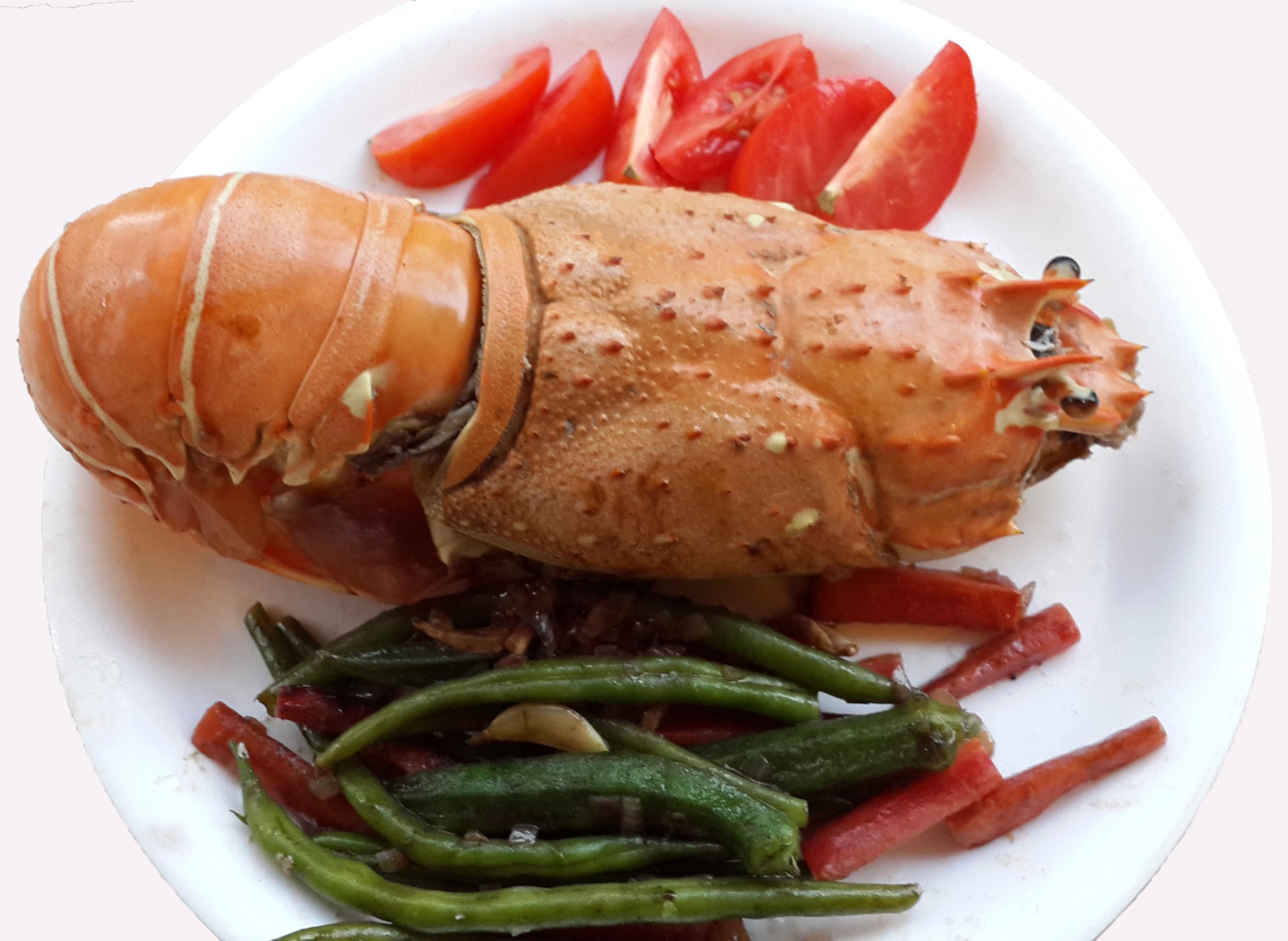 Lobster Jumbo