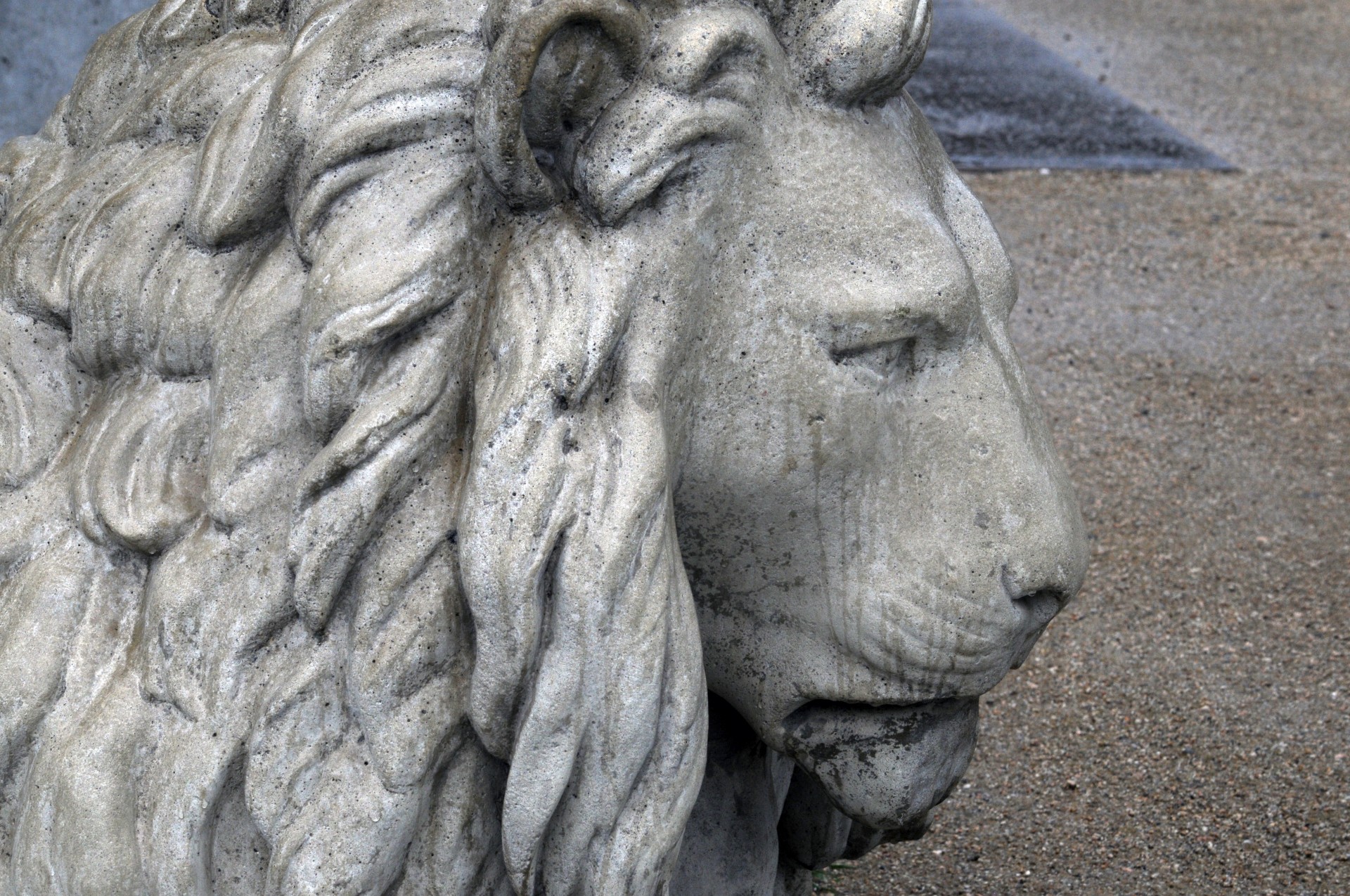 Lion Head Rzeźba