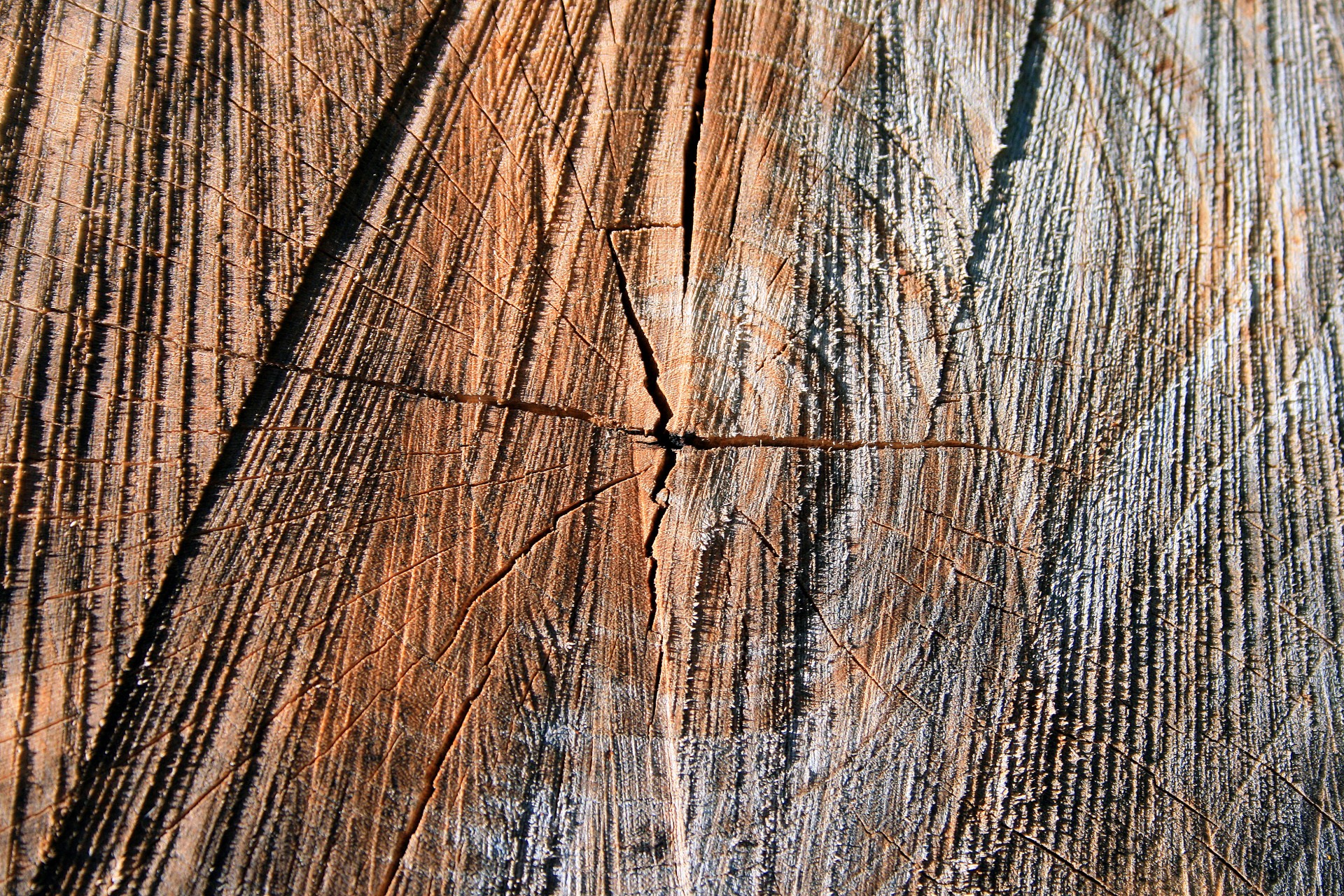 Bucată de lemn tăiat