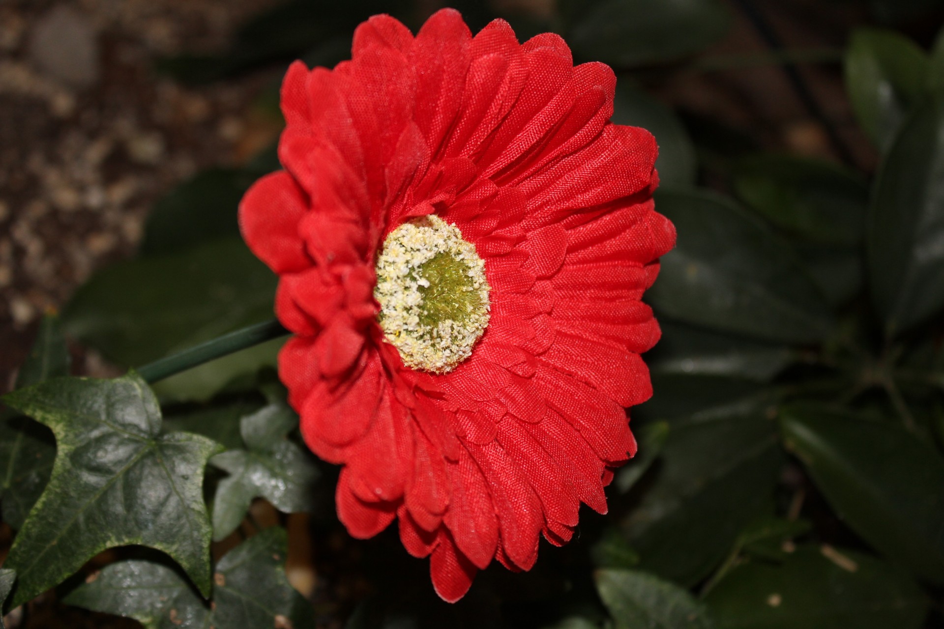 Czerwony sztuczny kwiat