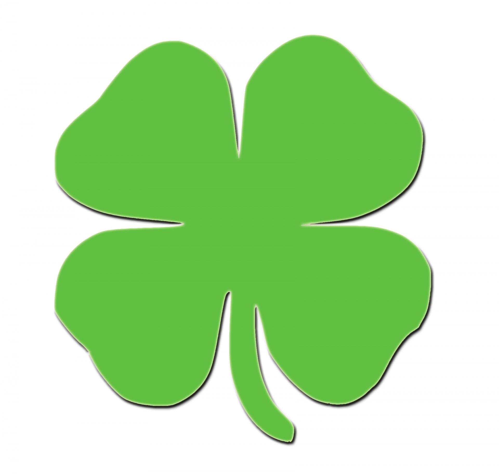 shamrock-for-st-patrick-s-day-free-stock-photo-public-domain-pictures
