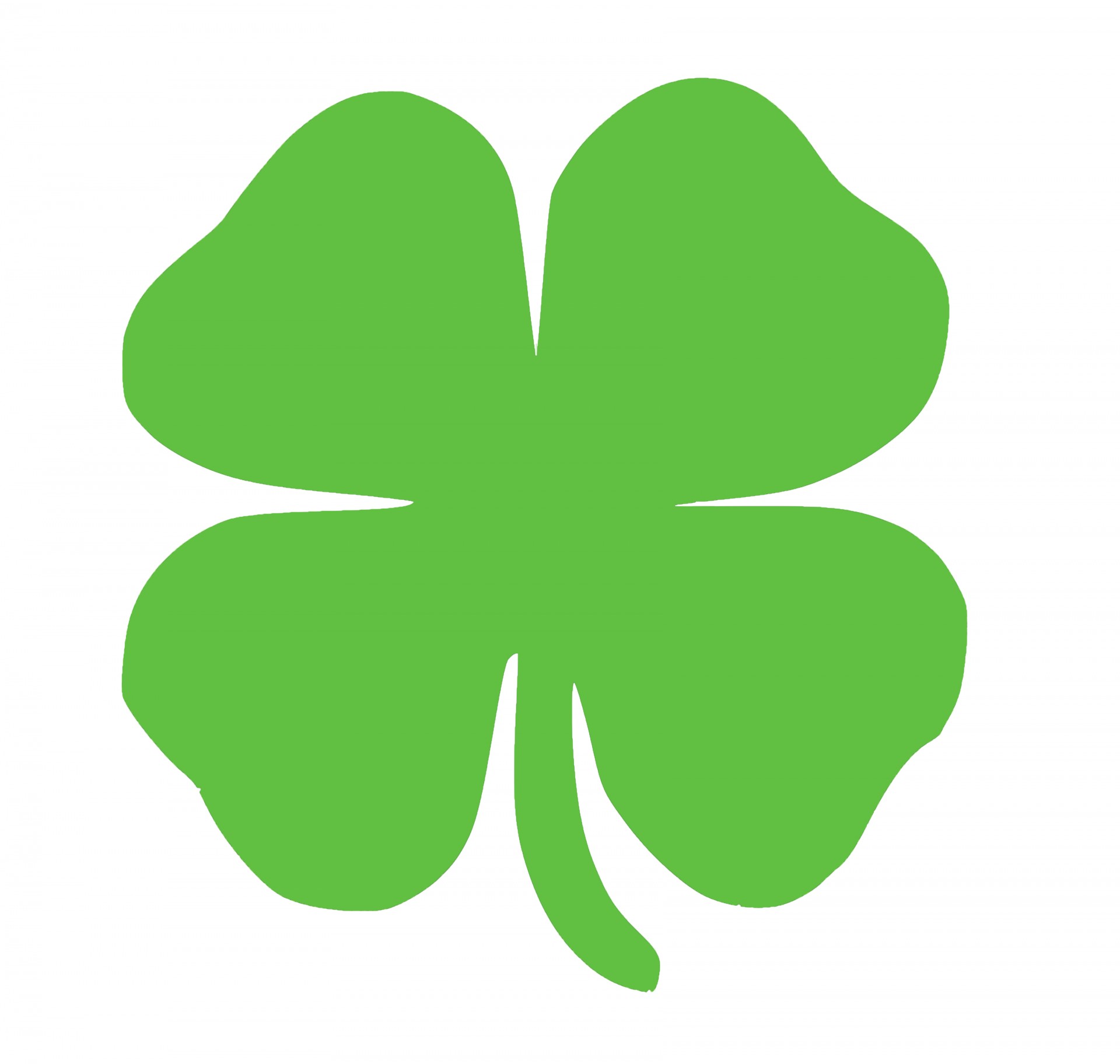 Shamrock For St Patrick's Day Free Stock Photo - Public Domain Pictures