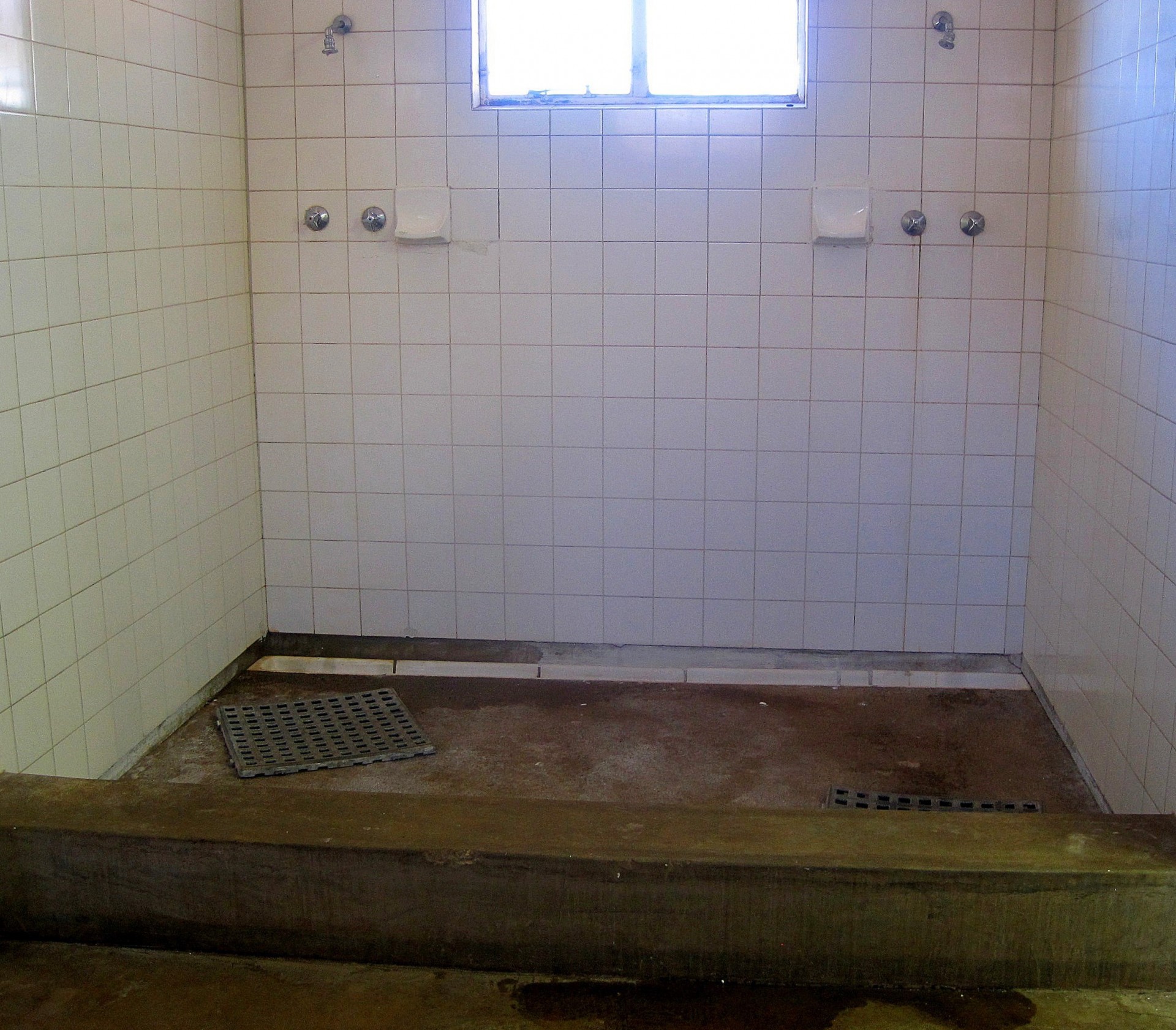 Facilitate de duș