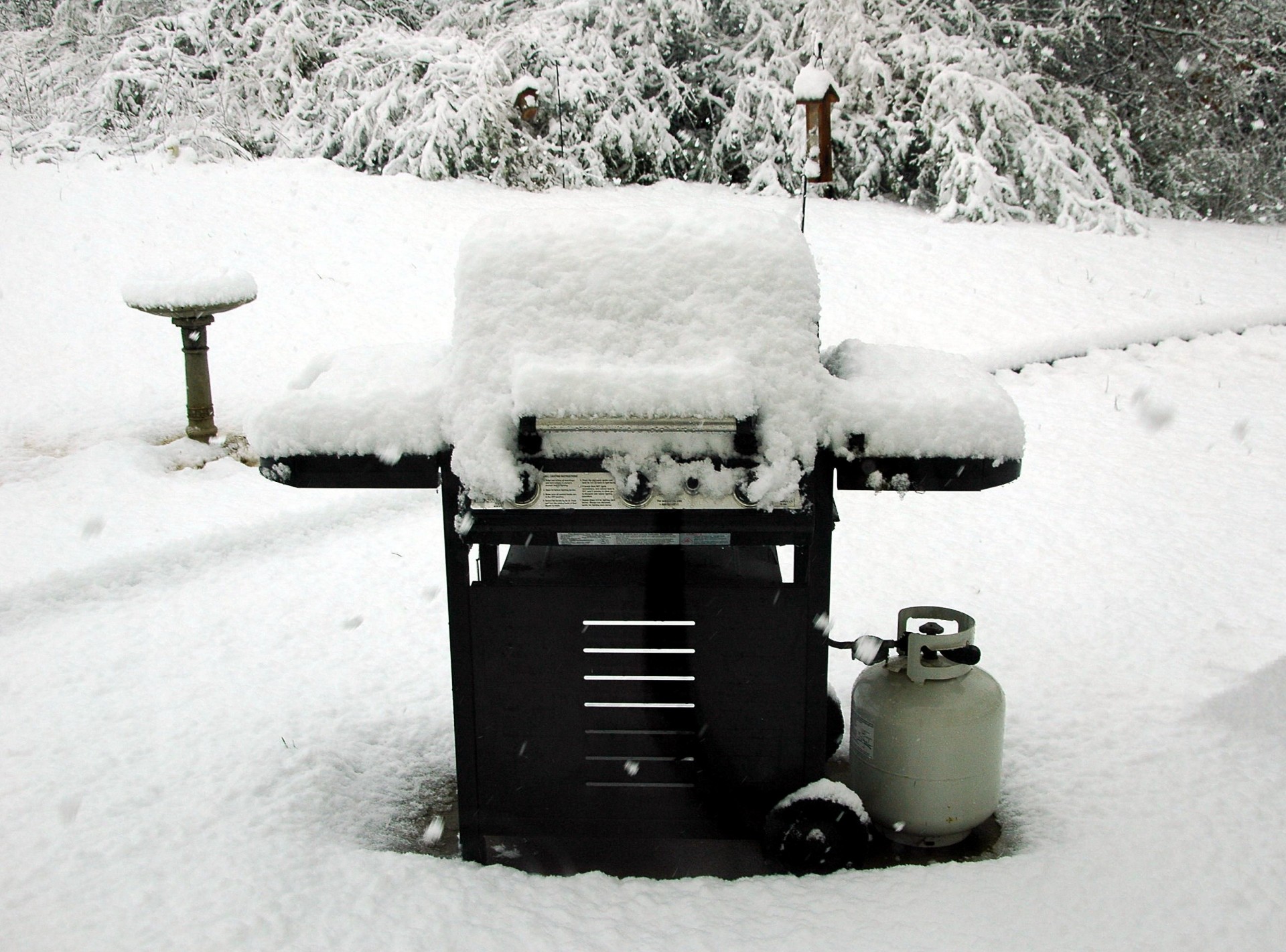 Acoperite de zăpadă BBQ grila
