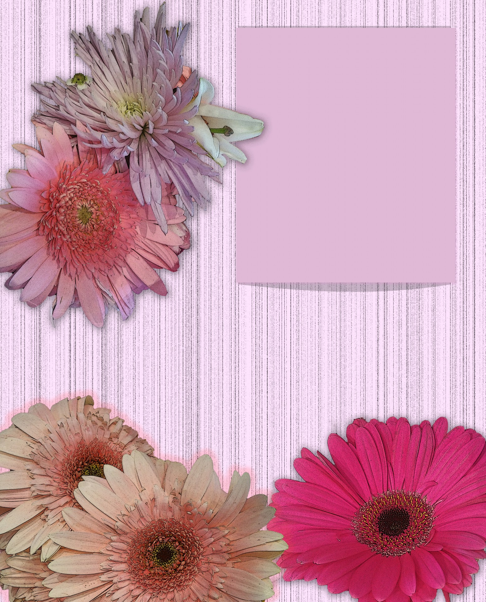 template-special-flower-card-free-stock-photo-public-domain-pictures