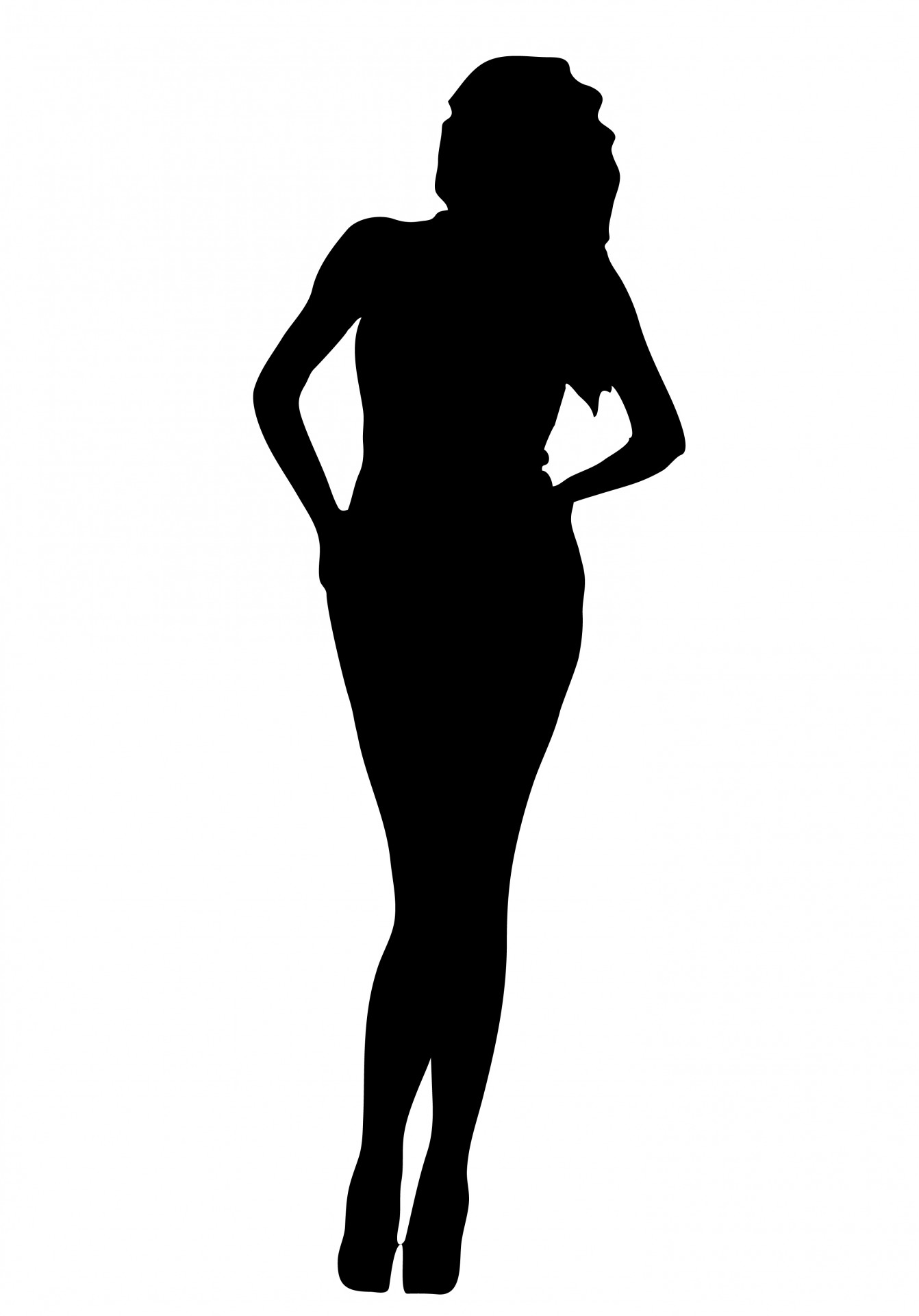 Femeie negru Silhouette