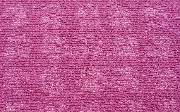 Hot Pink Floret Texture Free Stock Photo - Public Domain Pictures