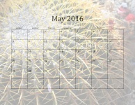 Calendário 2016 maio Mensal
