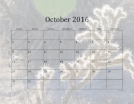 2016 October Monthly Calendar
