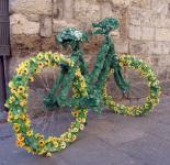 Florecido bicicletas