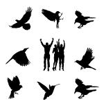 птицы свободы