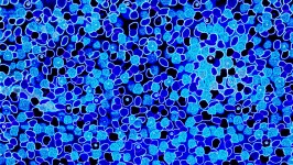Modrá Abstraktní kruhy Wallpaper