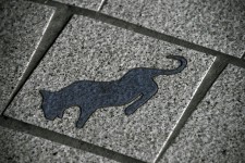 Cement Tile with Cougar Design