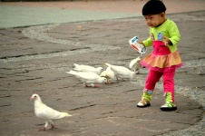 Child With Pigeons