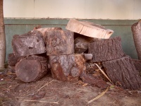 Gehakt Wood Logs