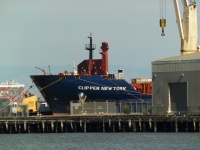 Clipper New York Frachtschiff