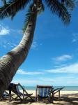 Espreguiçadeiras em uma praia tropical