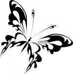 Diagonal borboleta direção