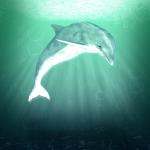 Dolphin Fantasy-Wasser-Kunst