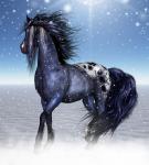 Fantasía Arte equino, caballo del invier