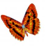 Papillon Fractal Fil d&#39;Orange Bl