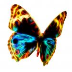 Fractal Draht Flammen-Schmetterlings-