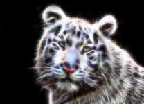 Fractal Drahtflamm White Tiger
