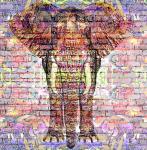 Graffiti elefant Bakgrund