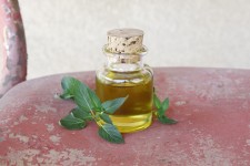 Homemade Peppermint Infused Oil