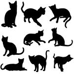 Devět kočky