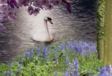 油画颜料效果天鹅和鲜花