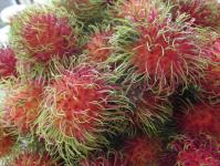 Fruits ramboutan