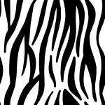 Seamless modello della zebra