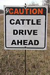 Sign Cattle Drive Ahead