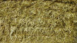 Straw Hay Background