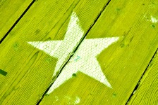 Wood Painted Star Green