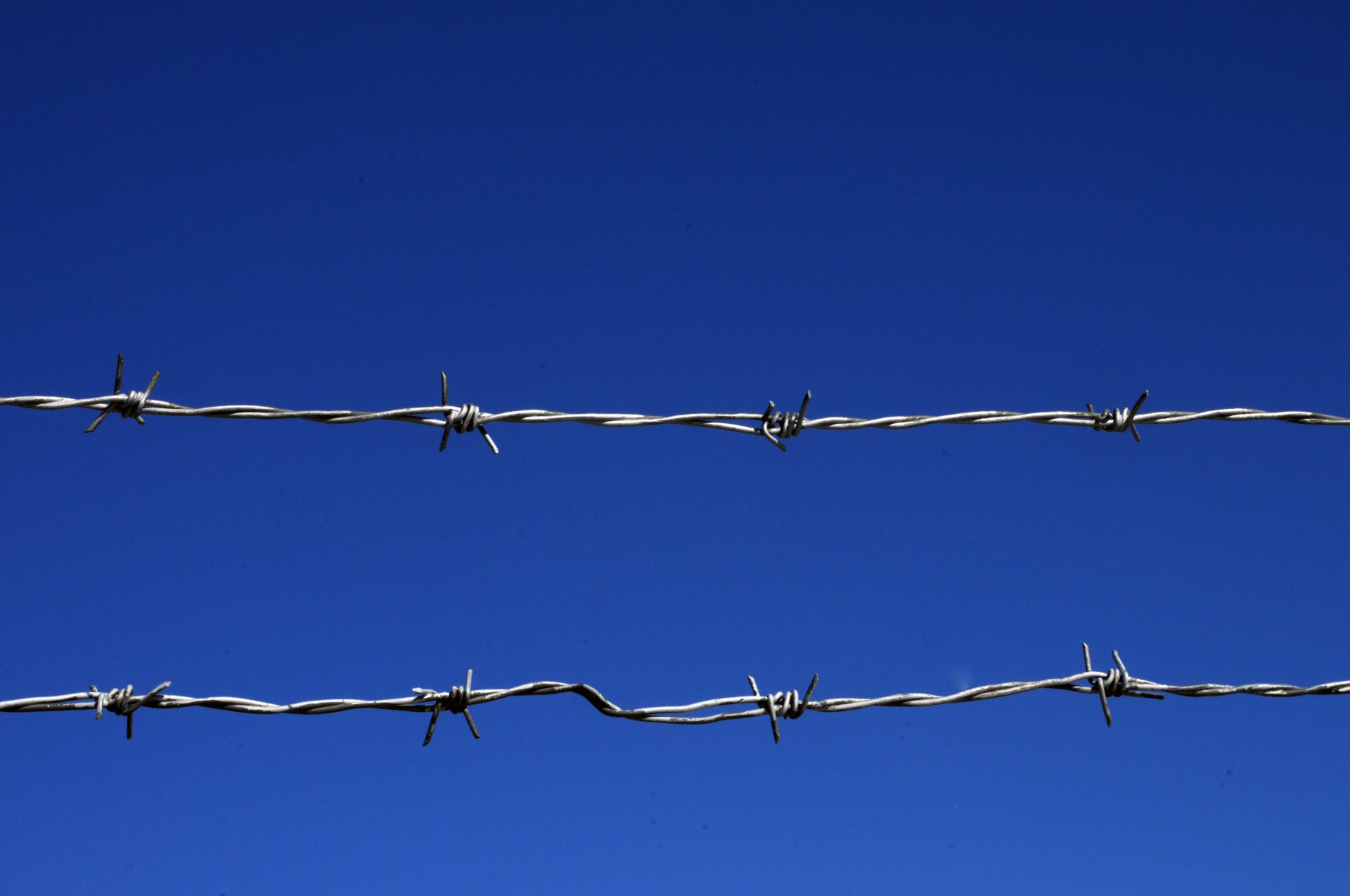 Barbed Wire Fence Blue Sky