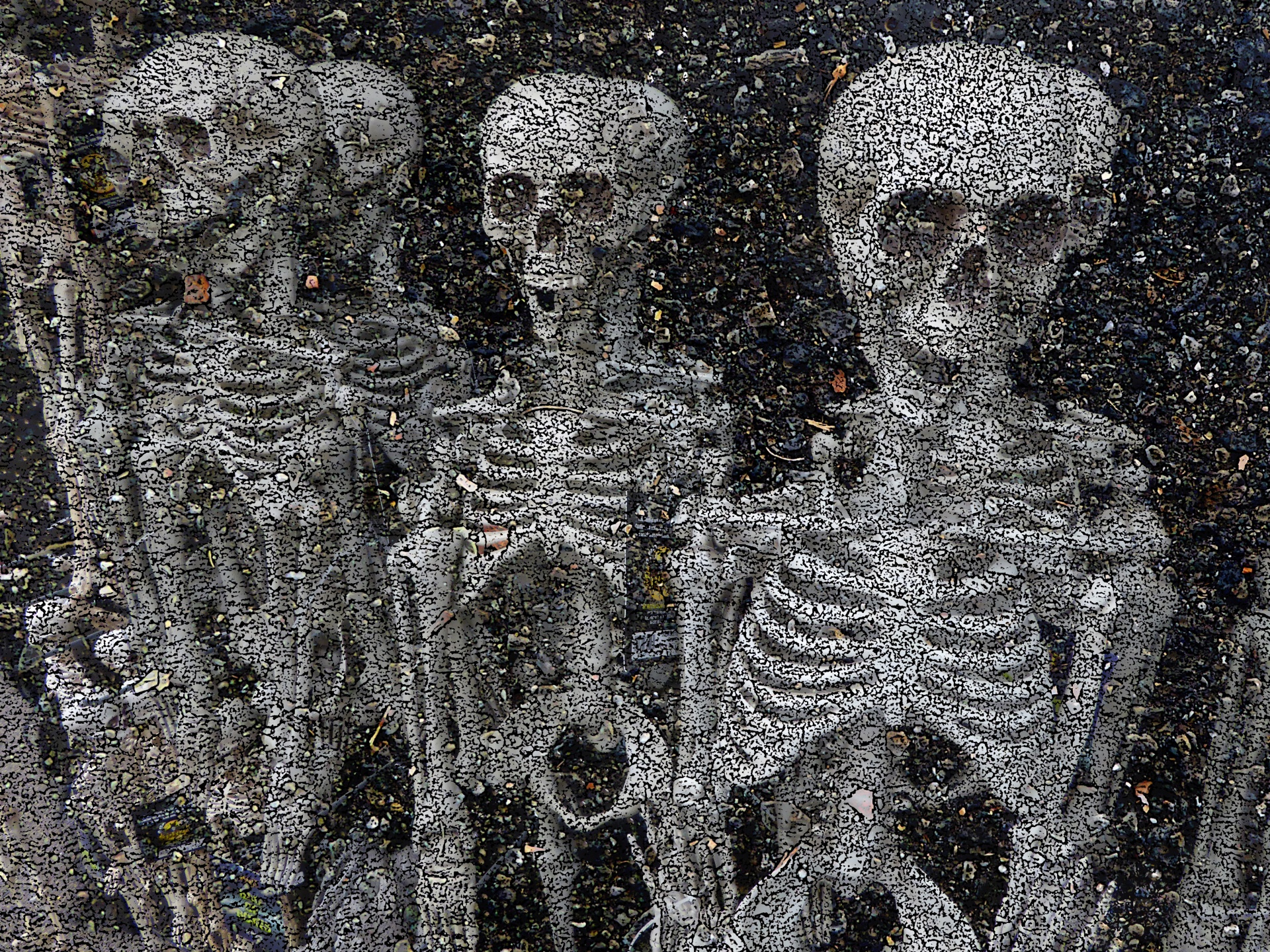 March Of The Skeletons Free Stock Photo - Public Domain Pictures