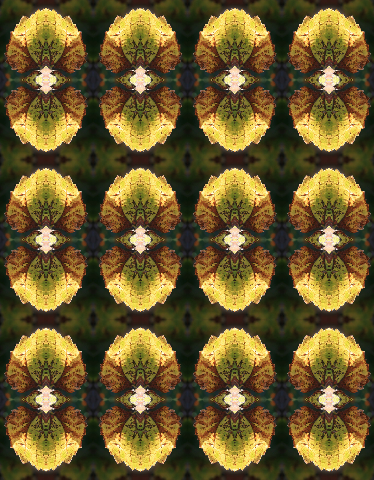pattern-with-part-of-a-leaf-free-stock-photo-public-domain-pictures