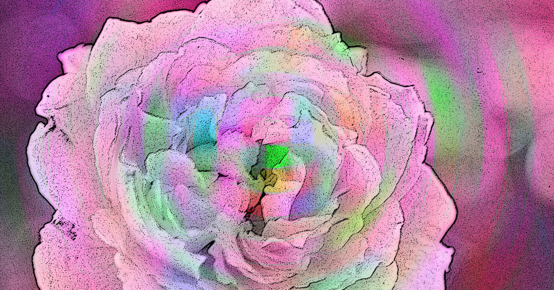 Pink Psychedelic Rose Free Stock Photo Public Domain Pictures